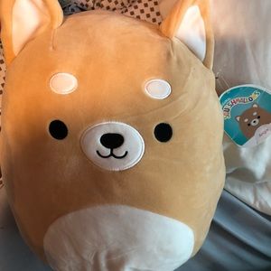 12” Angie the Corgi Squishmallow NWT